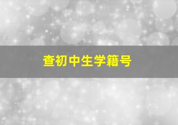 查初中生学籍号