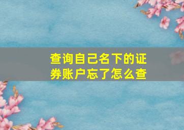 查询自己名下的证券账户忘了怎么查