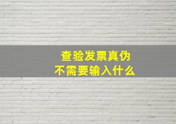 查验发票真伪不需要输入什么