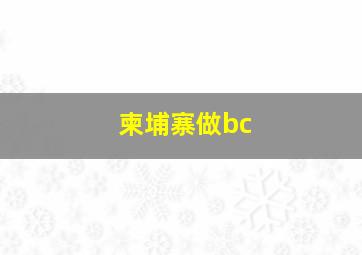 柬埔寨做bc