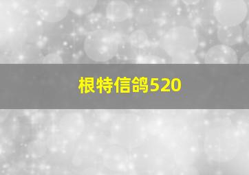 根特信鸽520