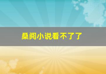 桑阅小说看不了了