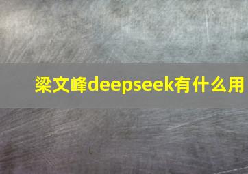 梁文峰deepseek有什么用