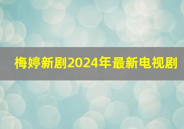 梅婷新剧2024年最新电视剧