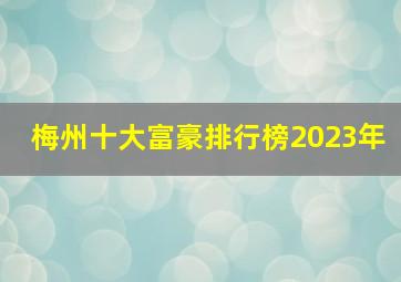 梅州十大富豪排行榜2023年