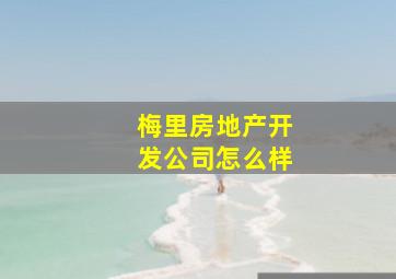 梅里房地产开发公司怎么样