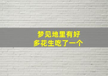 梦见地里有好多花生吃了一个