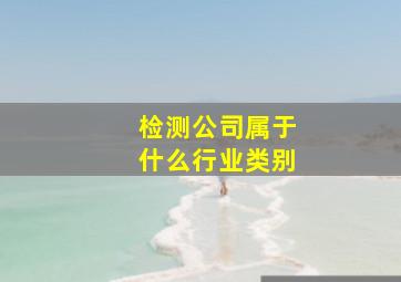 检测公司属于什么行业类别