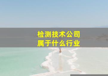 检测技术公司属于什么行业