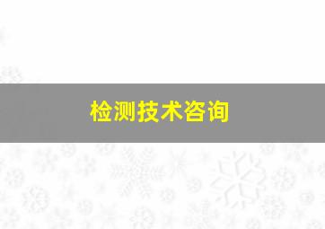 检测技术咨询