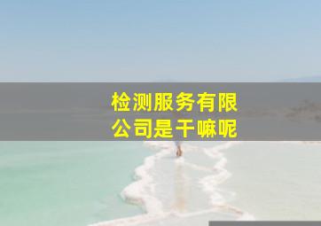 检测服务有限公司是干嘛呢