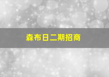 森布日二期招商