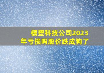 模塑科技公司2023年亏损吗股价跌成狗了