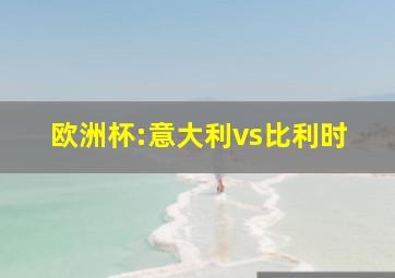 欧洲杯:意大利vs比利时