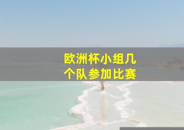 欧洲杯小组几个队参加比赛