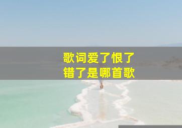 歌词爱了恨了错了是哪首歌