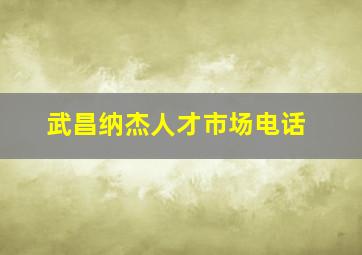 武昌纳杰人才市场电话