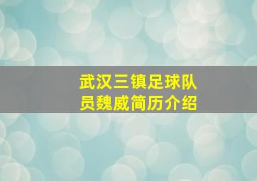 武汉三镇足球队员魏威简历介绍