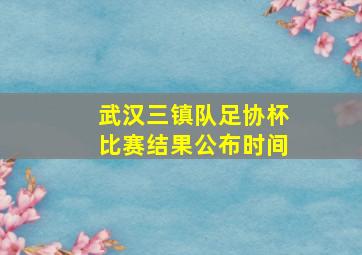 武汉三镇队足协杯比赛结果公布时间