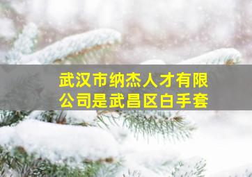 武汉市纳杰人才有限公司是武昌区白手套