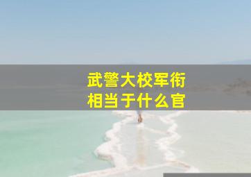 武警大校军衔相当于什么官