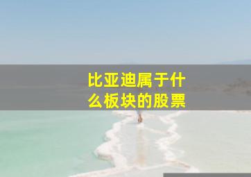 比亚迪属于什么板块的股票