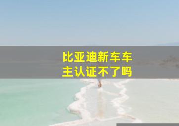 比亚迪新车车主认证不了吗