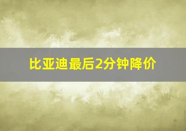 比亚迪最后2分钟降价