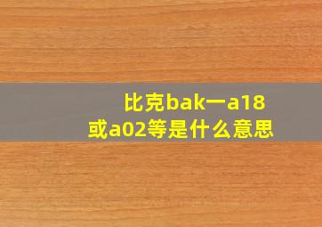 比克bak一a18或a02等是什么意思