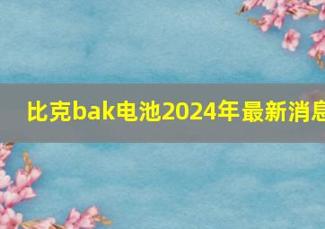 比克bak电池2024年最新消息