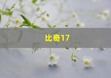 比奇17