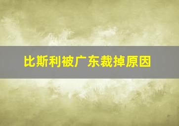 比斯利被广东裁掉原因