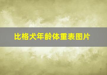 比格犬年龄体重表图片