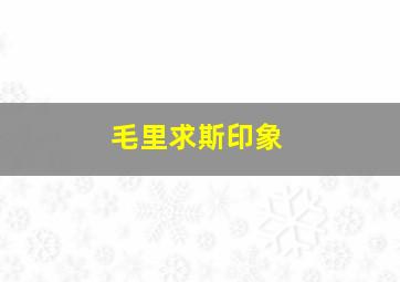 毛里求斯印象