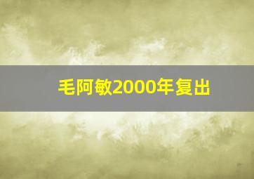 毛阿敏2000年复出