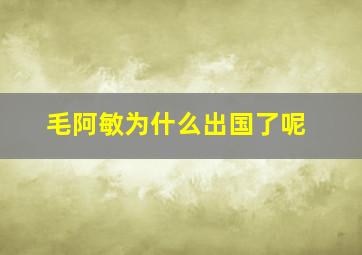 毛阿敏为什么出国了呢