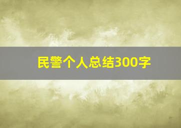 民警个人总结300字