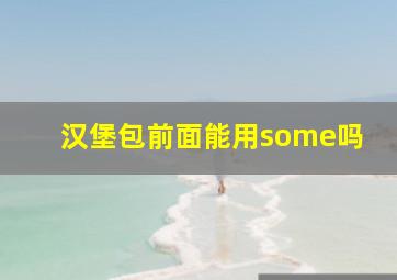 汉堡包前面能用some吗