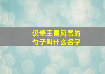 汉堡王暴风雪的勺子叫什么名字