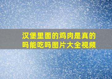 汉堡里面的鸡肉是真的吗能吃吗图片大全视频