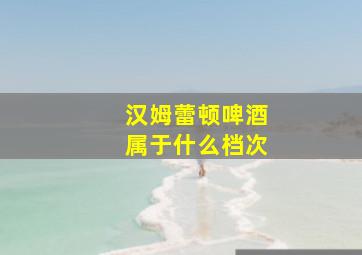 汉姆蕾顿啤酒属于什么档次