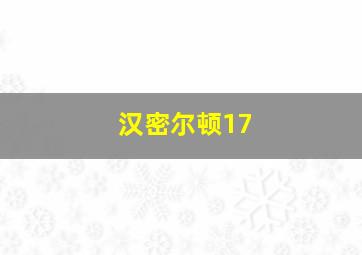 汉密尔顿17