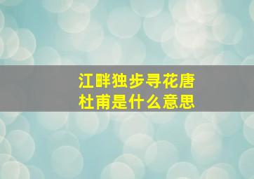 江畔独步寻花唐杜甫是什么意思