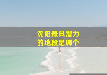 沈阳最具潜力的地段是哪个