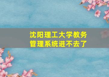 沈阳理工大学教务管理系统进不去了