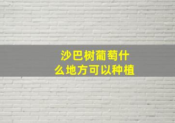 沙巴树葡萄什么地方可以种植