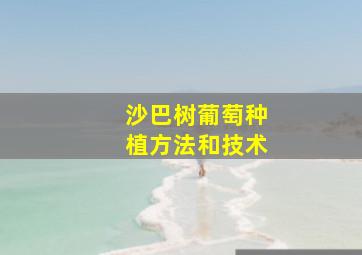 沙巴树葡萄种植方法和技术