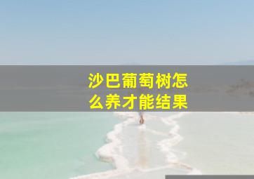 沙巴葡萄树怎么养才能结果