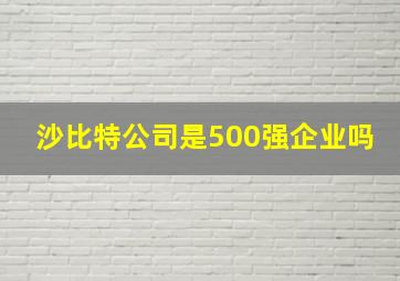 沙比特公司是500强企业吗