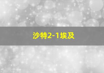 沙特2-1埃及